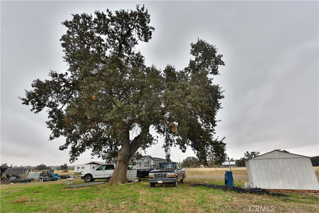 4210 Osborn Road Flournoy, CA 96021 - Photo 44 of 50 a white house with a tree in the background