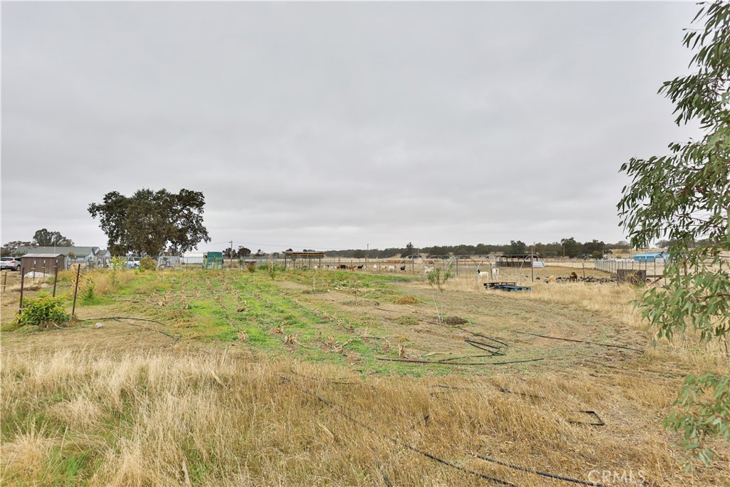 4210 Osborn Road Flournoy, CA 96021 - Photo 48 of 50 a view of an ocean