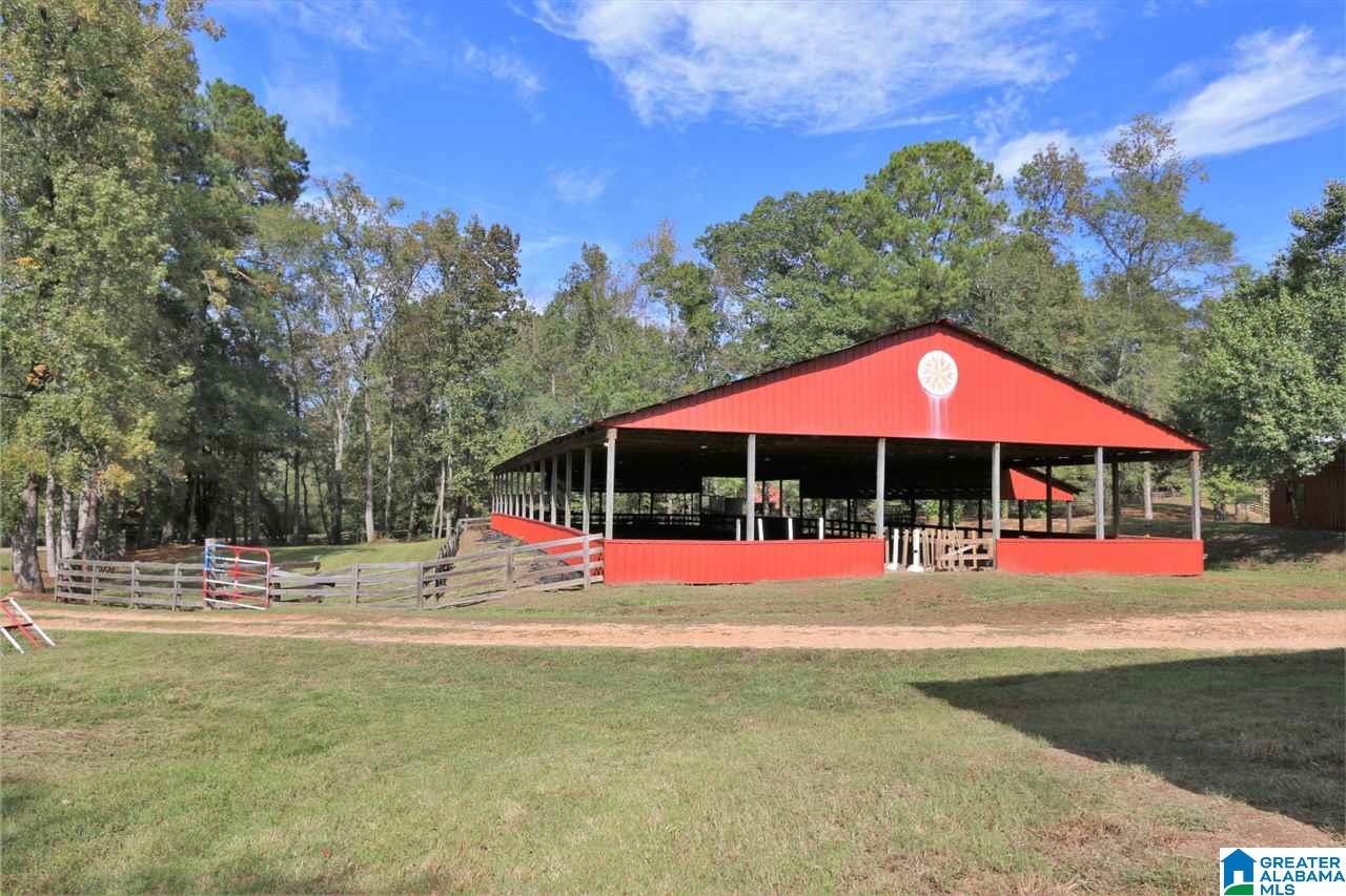 8460 Wolf Creek Road South Pell City, AL 35128 - Photo 29 of 49