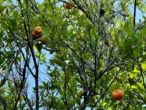 $92,500 | 16437 County Road 12, Bristol, FL 32321