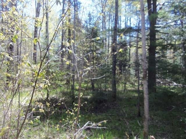Lot 38 Nathan Pass Mercer, WI 54547 - Photo 6 of 18 Gallery Image 6