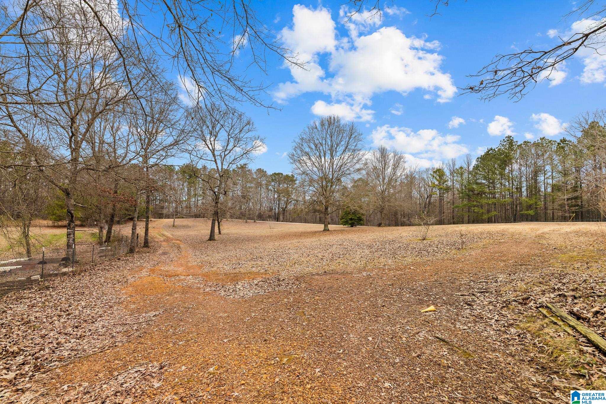 814 Deer Trace Road Pell City, AL 35125 - Photo 4 of 40