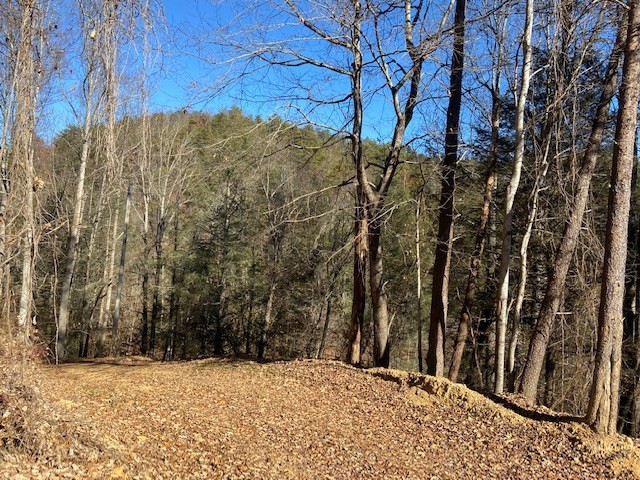 2 Bogard Road Cosby, TN 37722 - Photo 7 of 9