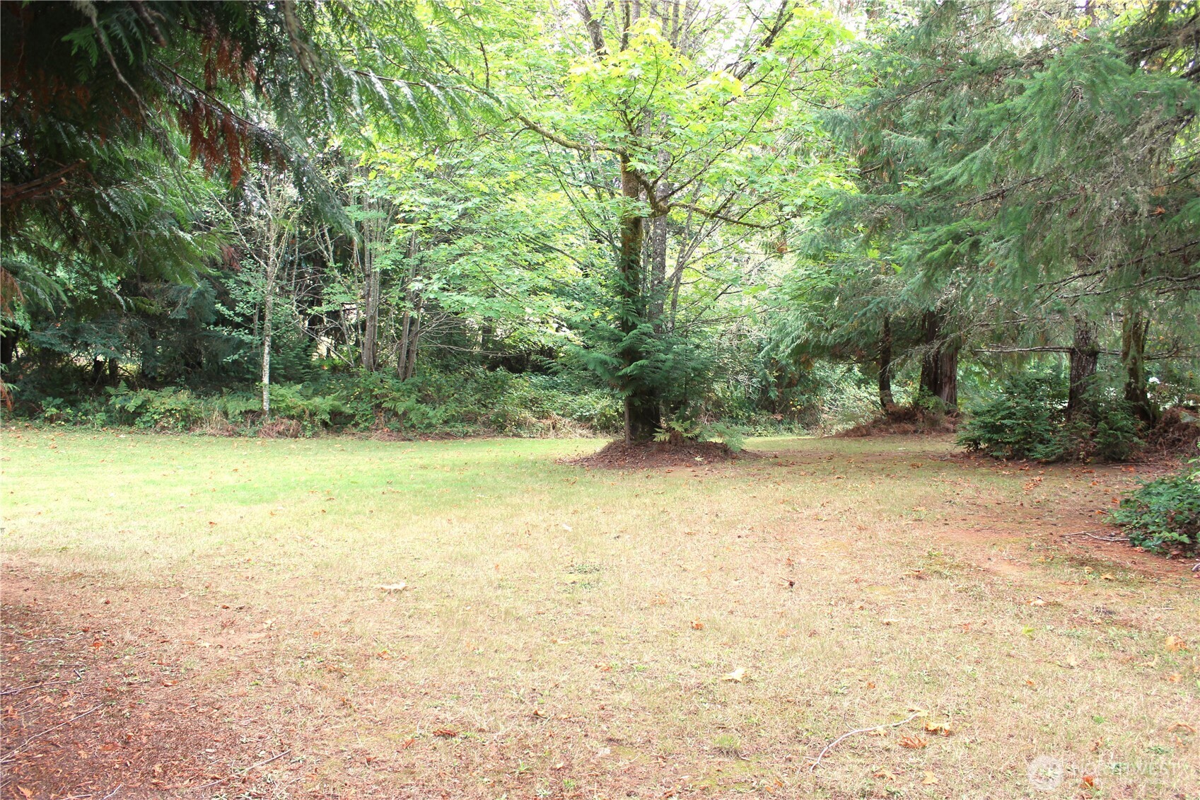 9727 Lundeen Road Southwest Rochester, WA 98579 - Photo 36 of 40 Gallery Image 36