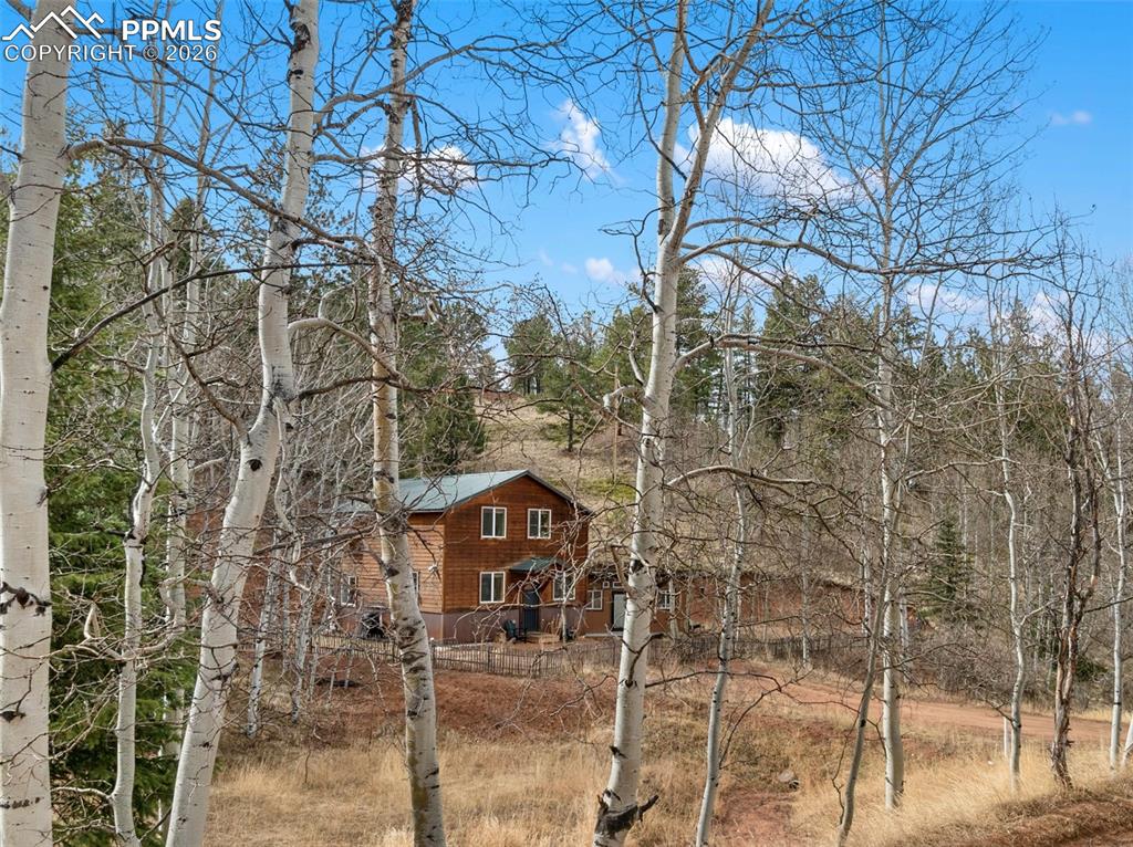 325 Willow Road Divide, CO 80814 - Photo 41 of 49