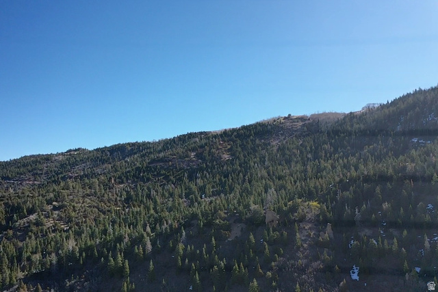 Undisclosed Address Summit, UT 84772 - Photo 18 of 19 View of mountain background featuring a forest