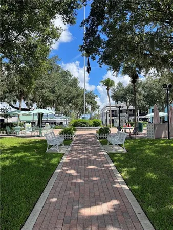 a park with large trees
