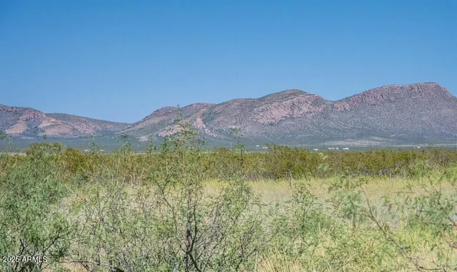 a view of a lush green hillside and a building