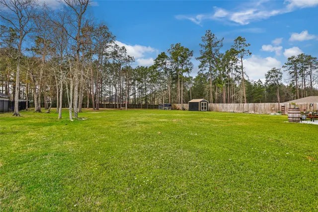 a view of a park with large trees