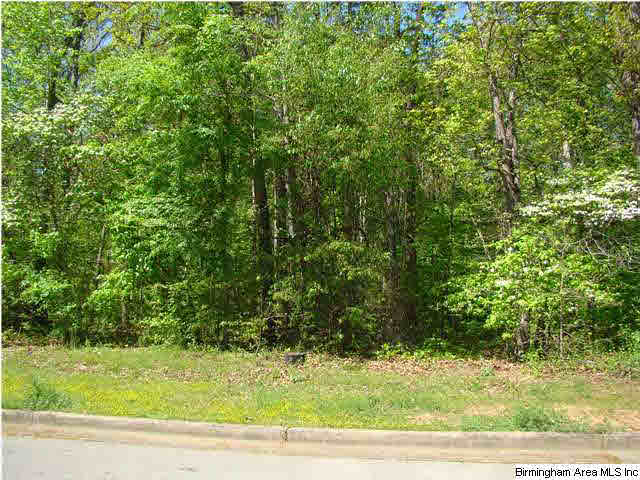 3rd Avenue Northeast Jacksonville, AL 36265 - Photo 1 of 3