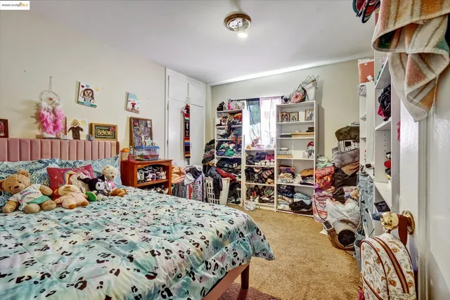 a bed room with a bed and a walk in closet