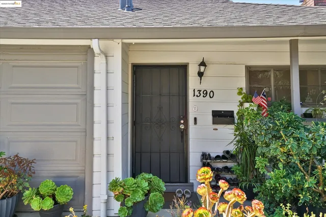 a potted plant sitting in front of a door
