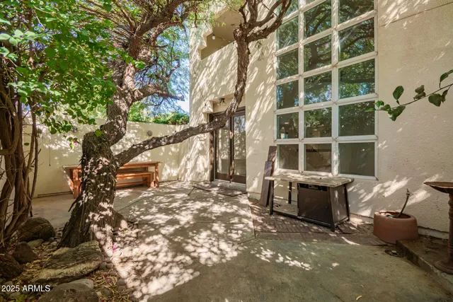 a view of a backyard