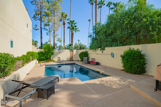 close up of potted plants