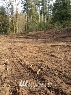 4273 Banner Road Southeast Port Orchard, WA 98366 - Photo 2 of 6 Gallery Image 2