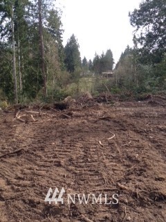 4273 Banner Road Southeast Port Orchard, WA 98366 - Photo 5 of 6 Gallery Image 5
