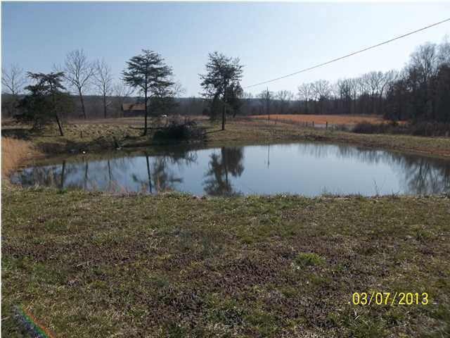 4964 Griffith Road Pikeville, TN 37367 - Photo 2 of 12 Additional Photo