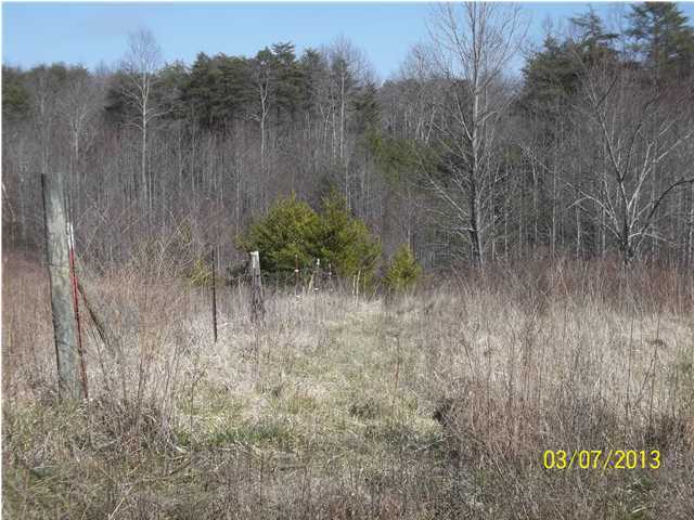 4964 Griffith Road Pikeville, TN 37367 - Photo 4 of 12 Additional Photo