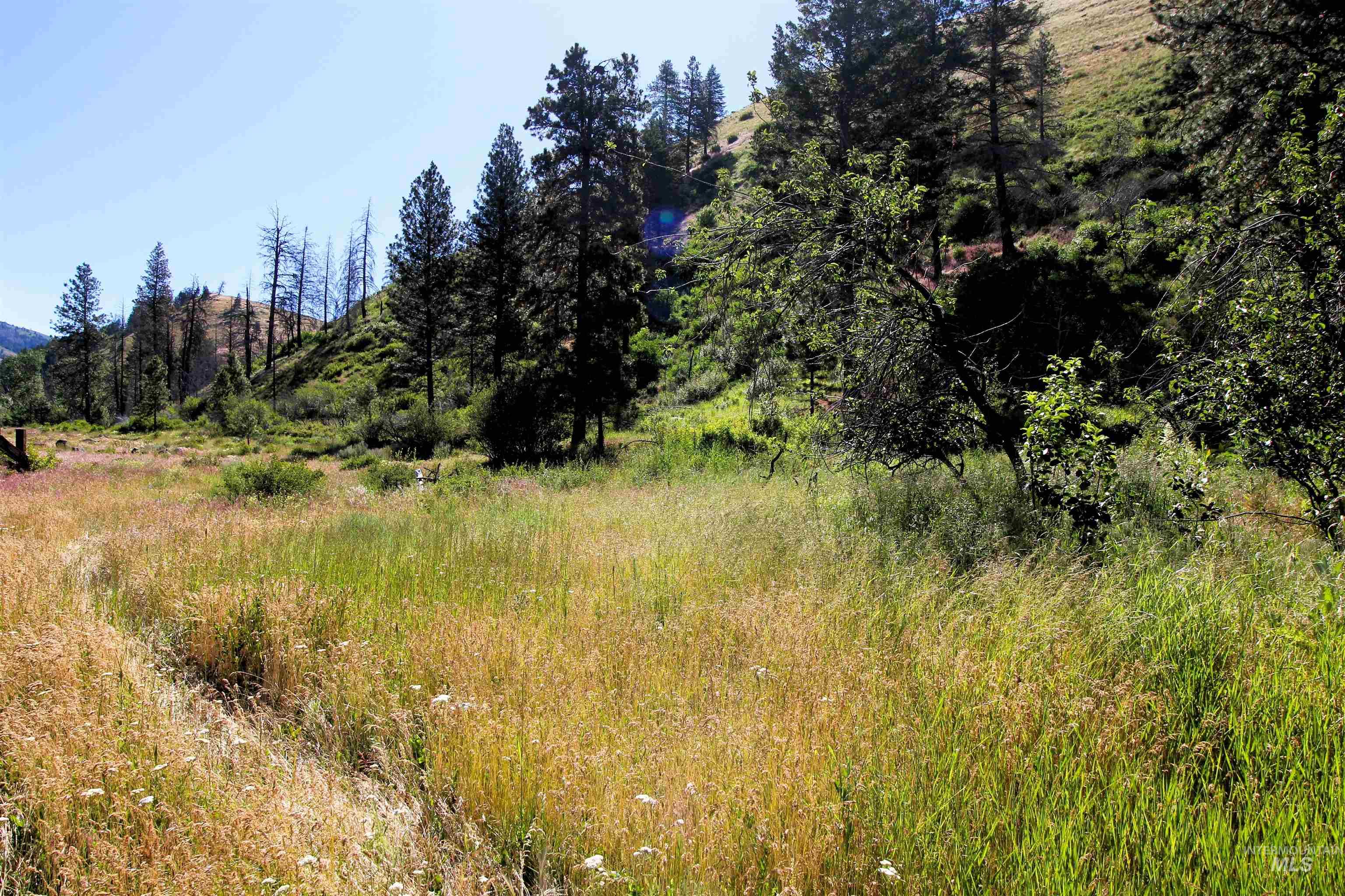Tbd Advent Gulch Road Cambridge, ID 83610 - Photo 22 of 30