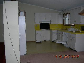 9103 West Albain Road Ida, MI 48140 - Photo 7 of 10 KITCHEN