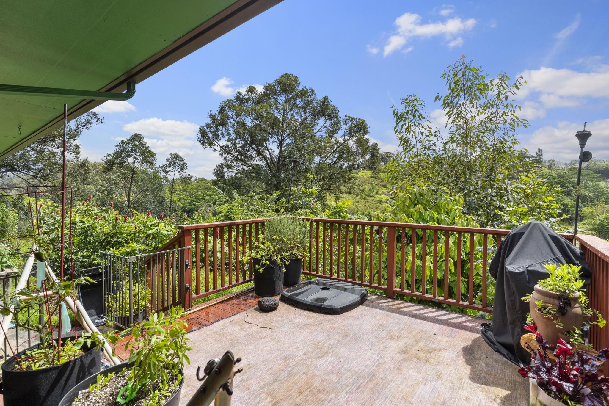 1515 Kaupakalua Road Haiku, HI 96708 - Photo 42 of 45 a view of a balcony with chairs and iron fence