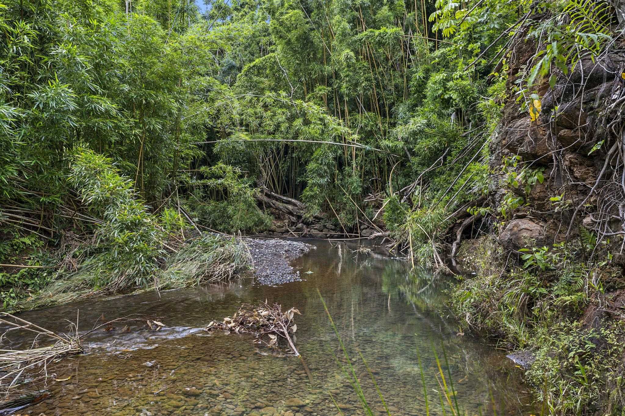 1515 Kaupakalua Road Haiku, HI 96708 - Photo 45 of 45 a view of a lake in a forest