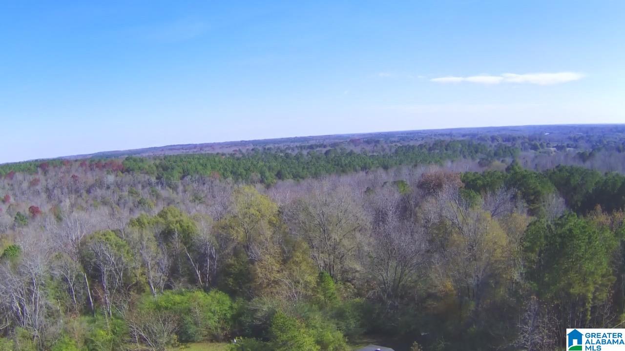 1460 Rose Hill Road Nauvoo, AL 35578 - Photo 24 of 25