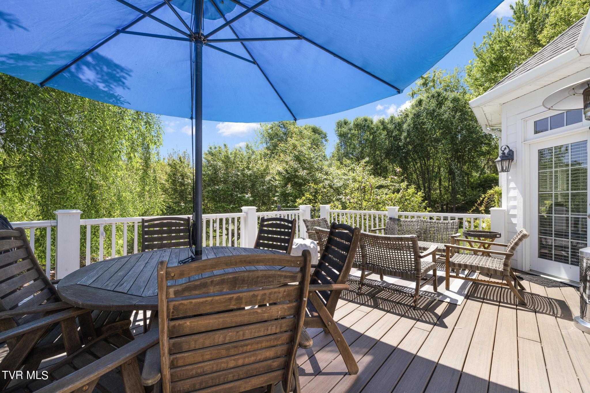 1031 Willows Trace Drive Johnson City, TN 37601 - Photo 22 of 83 Back deck