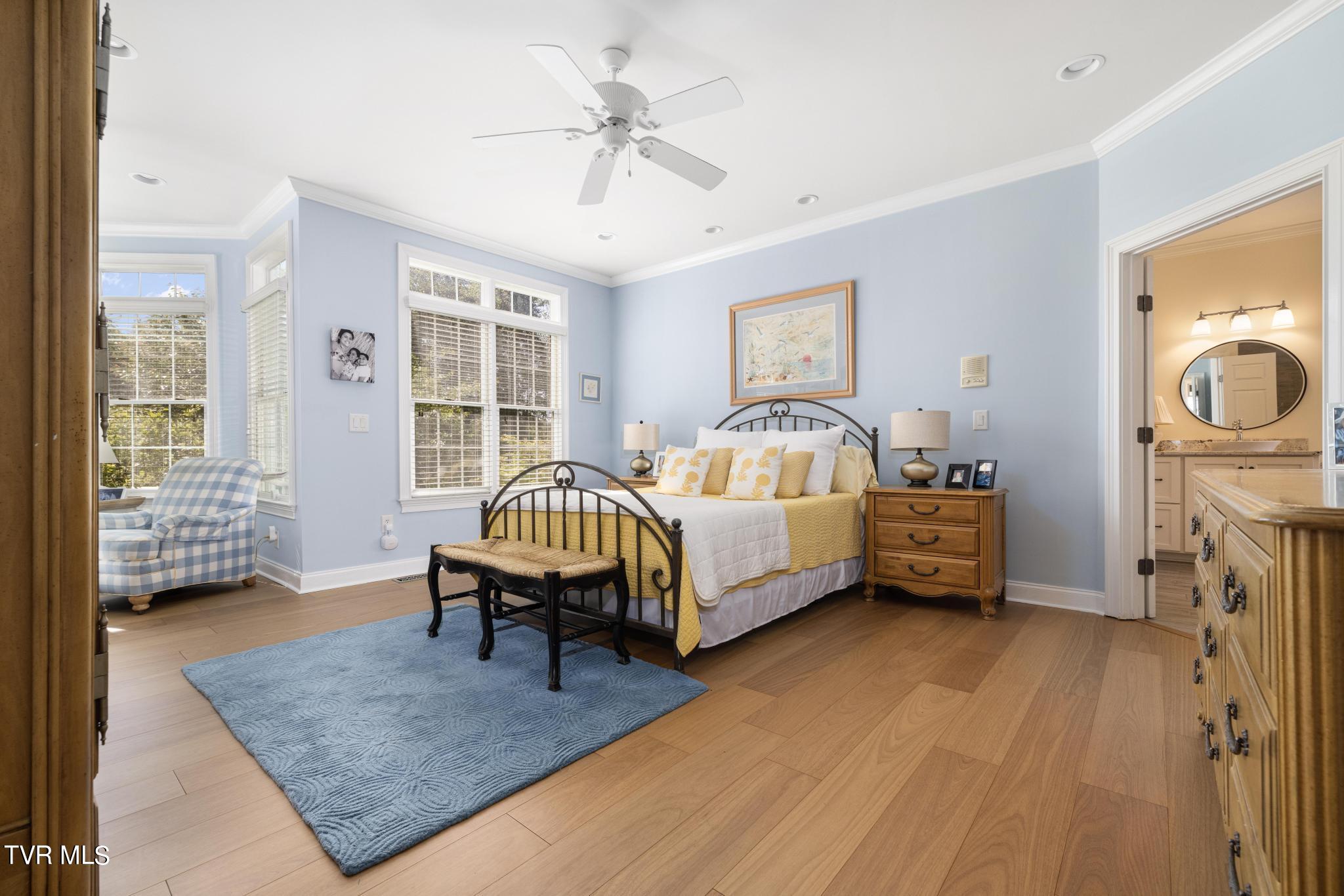 1031 Willows Trace Drive Johnson City, TN 37601 - Photo 25 of 83 Primary bedroom