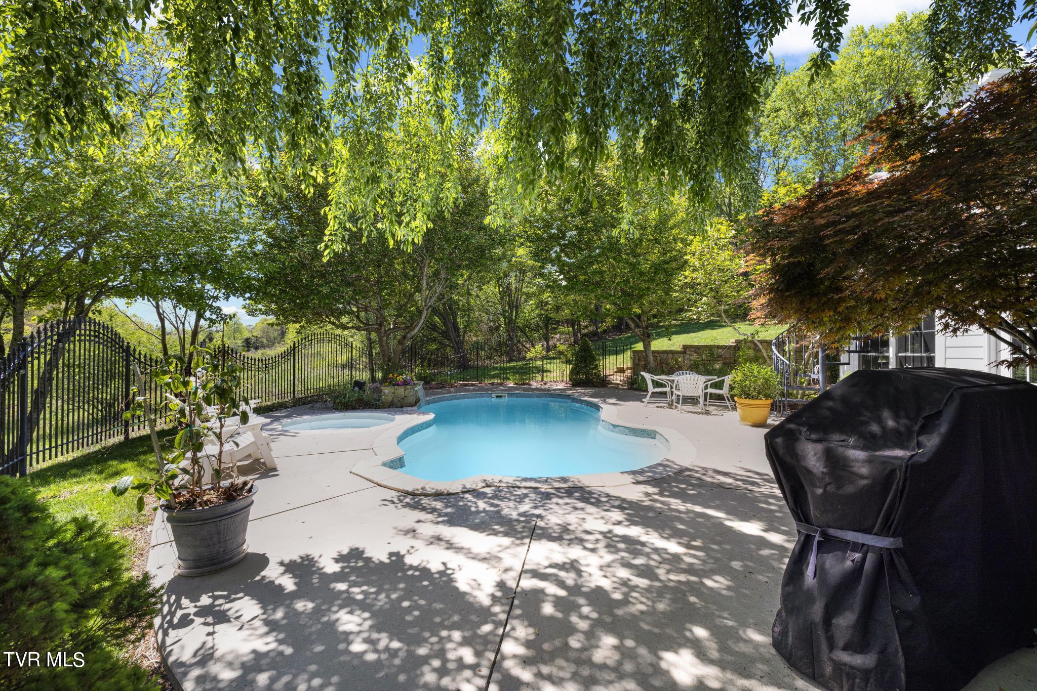 1031 Willows Trace Drive Johnson City, TN 37601 - Photo 70 of 83 Backyard