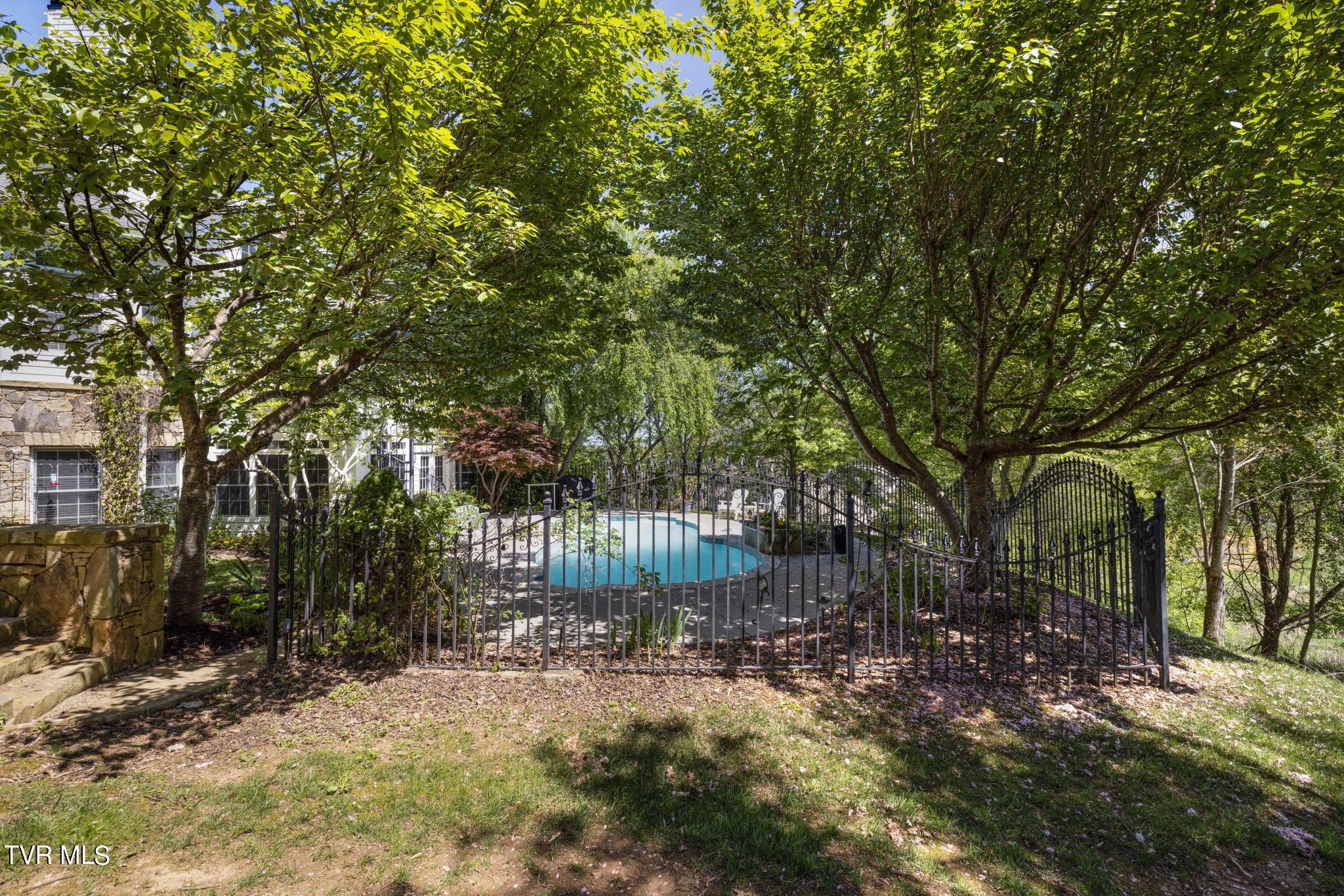 1031 Willows Trace Drive Johnson City, TN 37601 - Photo 73 of 83 Side yard