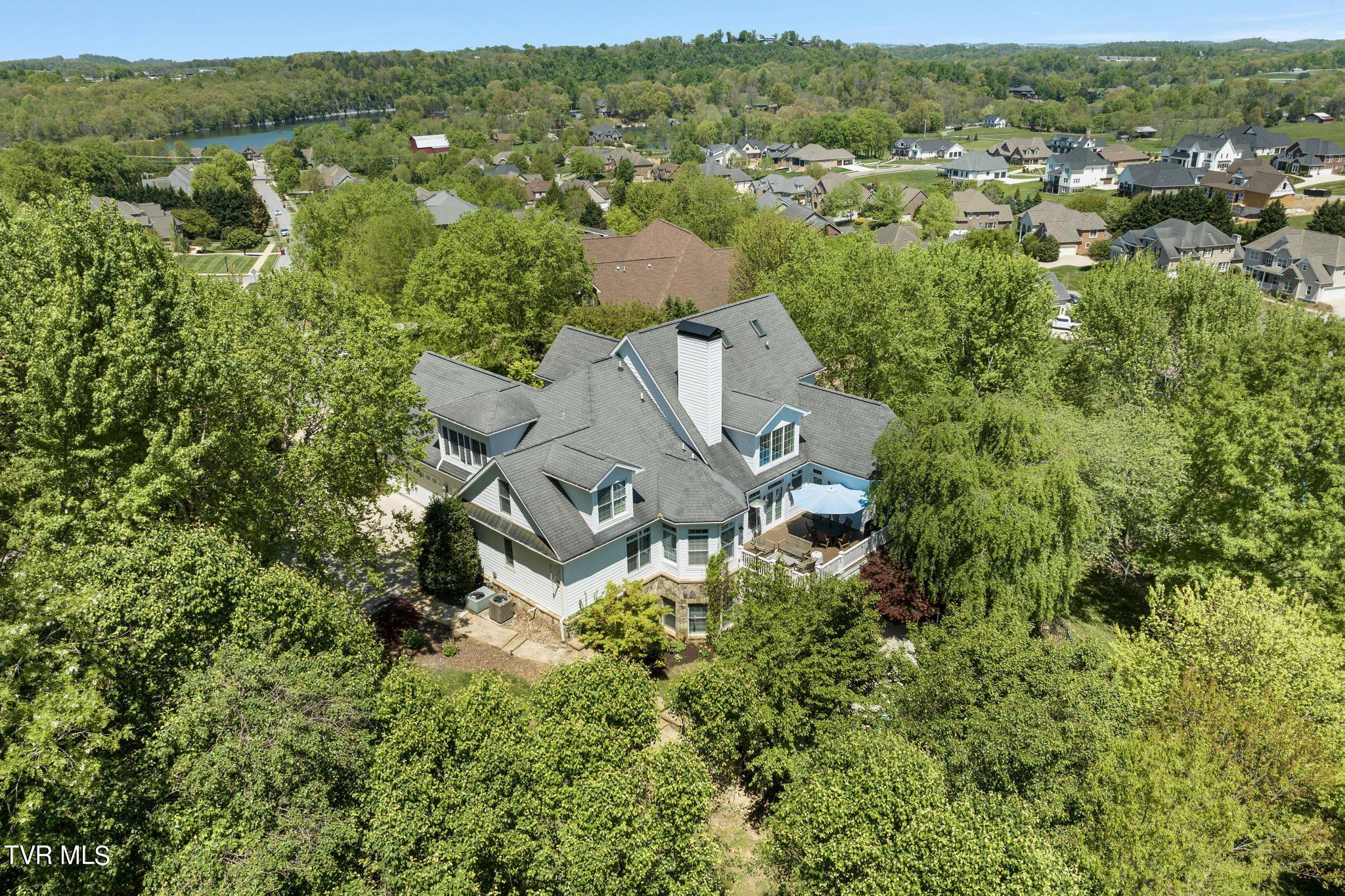 1031 Willows Trace Drive Johnson City, TN 37601 - Photo 81 of 83 Aerial view of home
