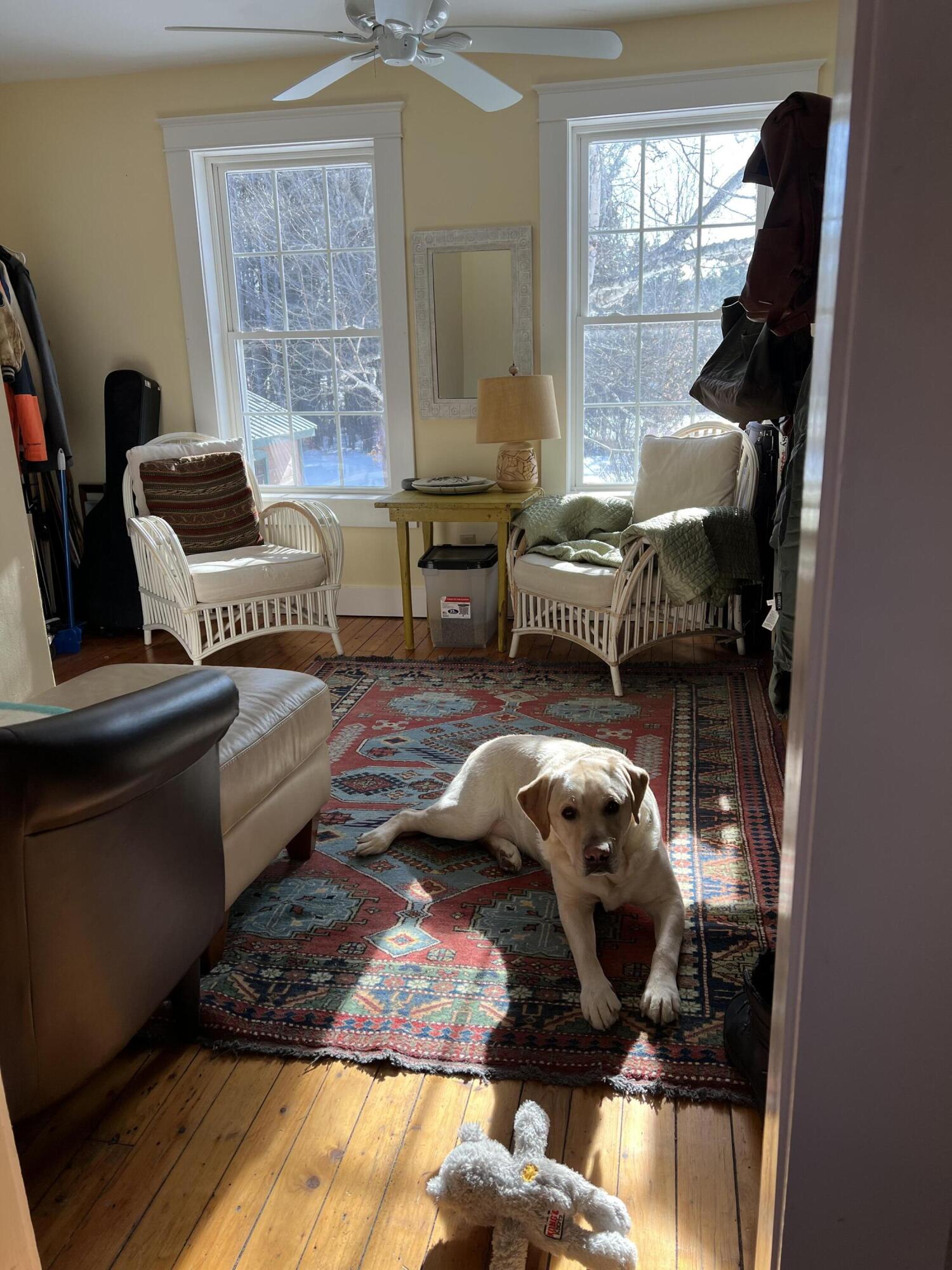 39 Stratton Road Rangeley, ME 04970 - Photo 26 of 28 IMG_4017