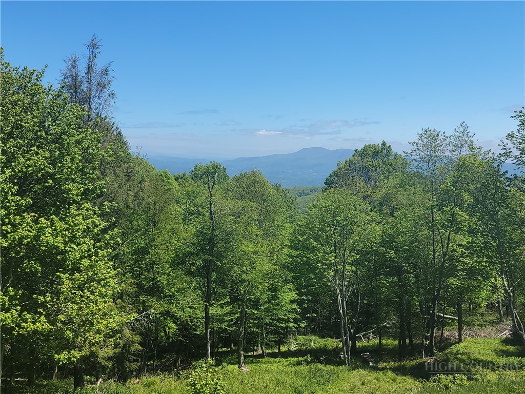 Foxfire Drive Banner Elk, NC 28604 - Photo 1 of 4