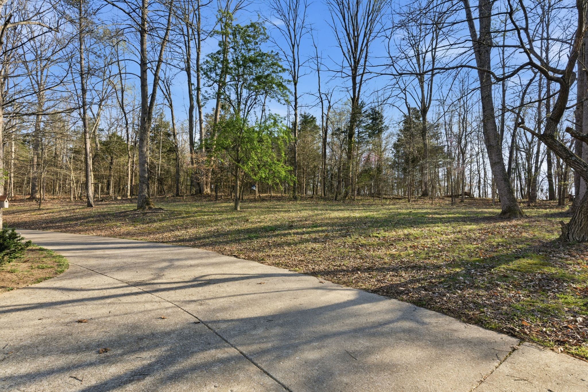 8073 Ridgewood Road Goodlettsville, TN 37072 - Photo 31 of 38 a backyard of apartments with large trees