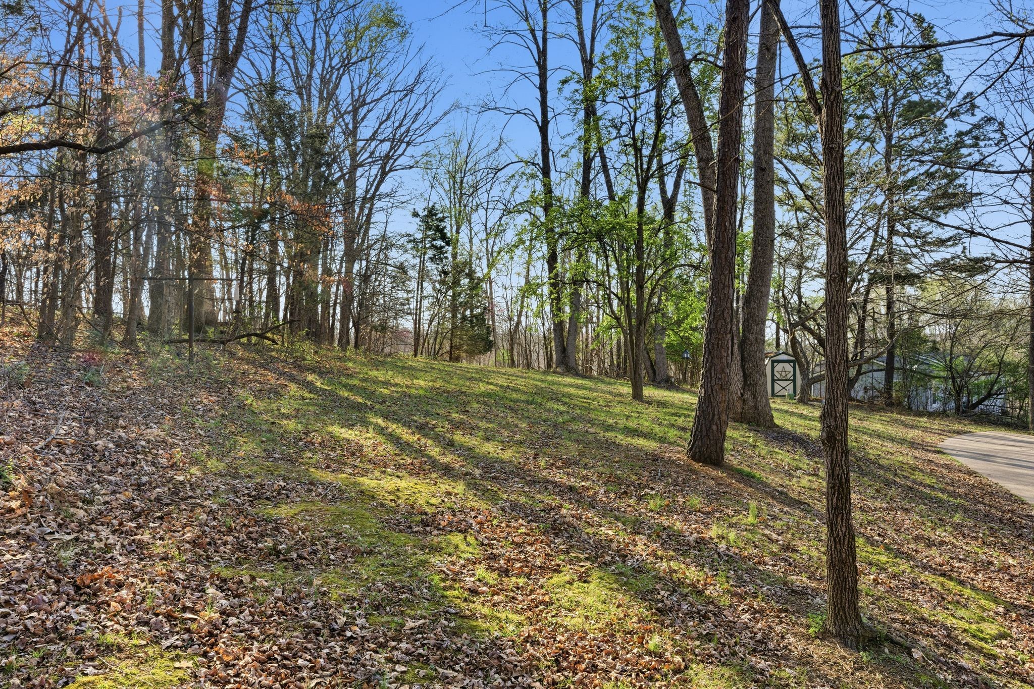 8073 Ridgewood Road Goodlettsville, TN 37072 - Photo 35 of 38 a view of a yard with large trees