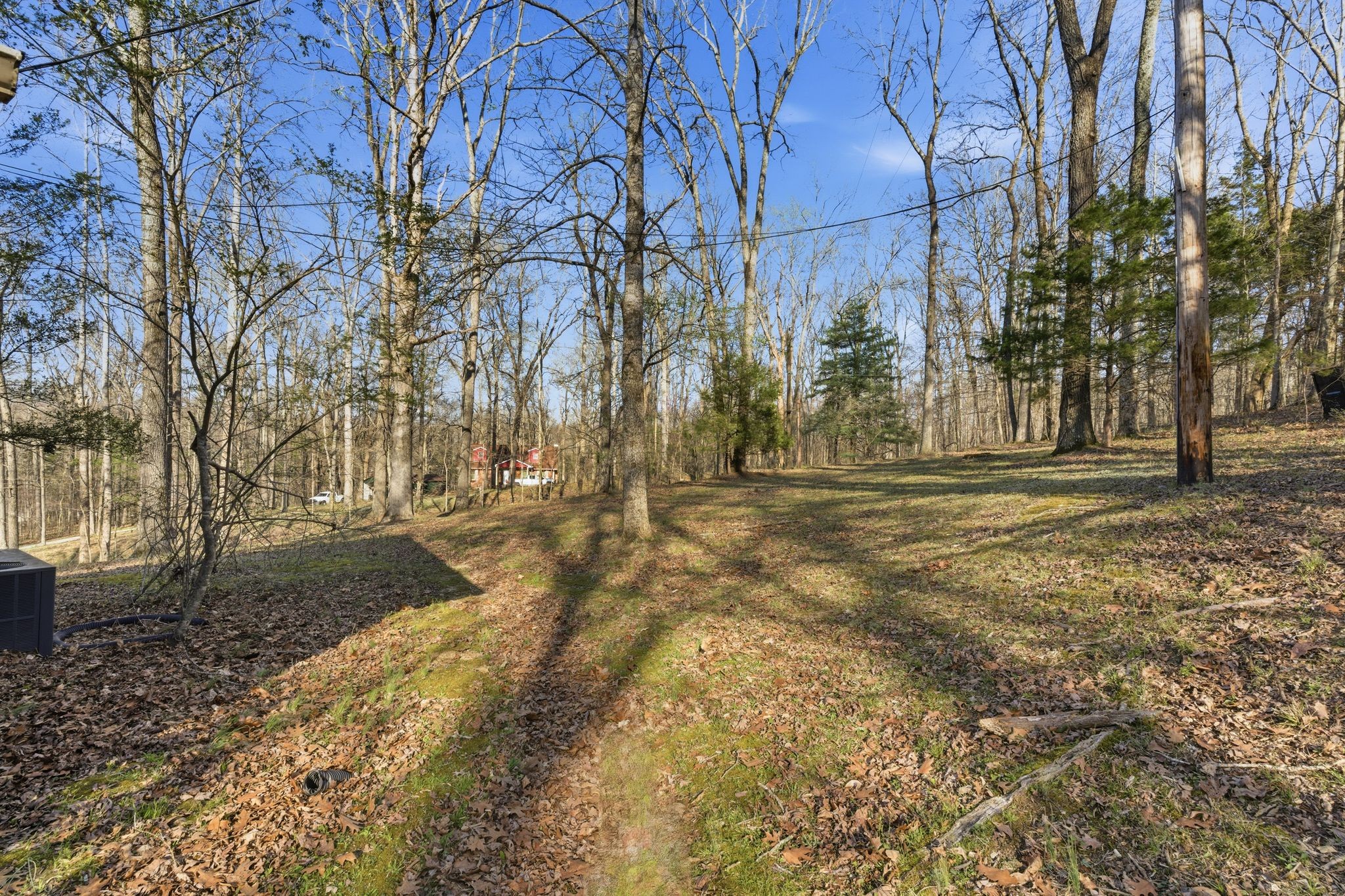 8073 Ridgewood Road Goodlettsville, TN 37072 - Photo 36 of 38 a view of outdoor space with trees
