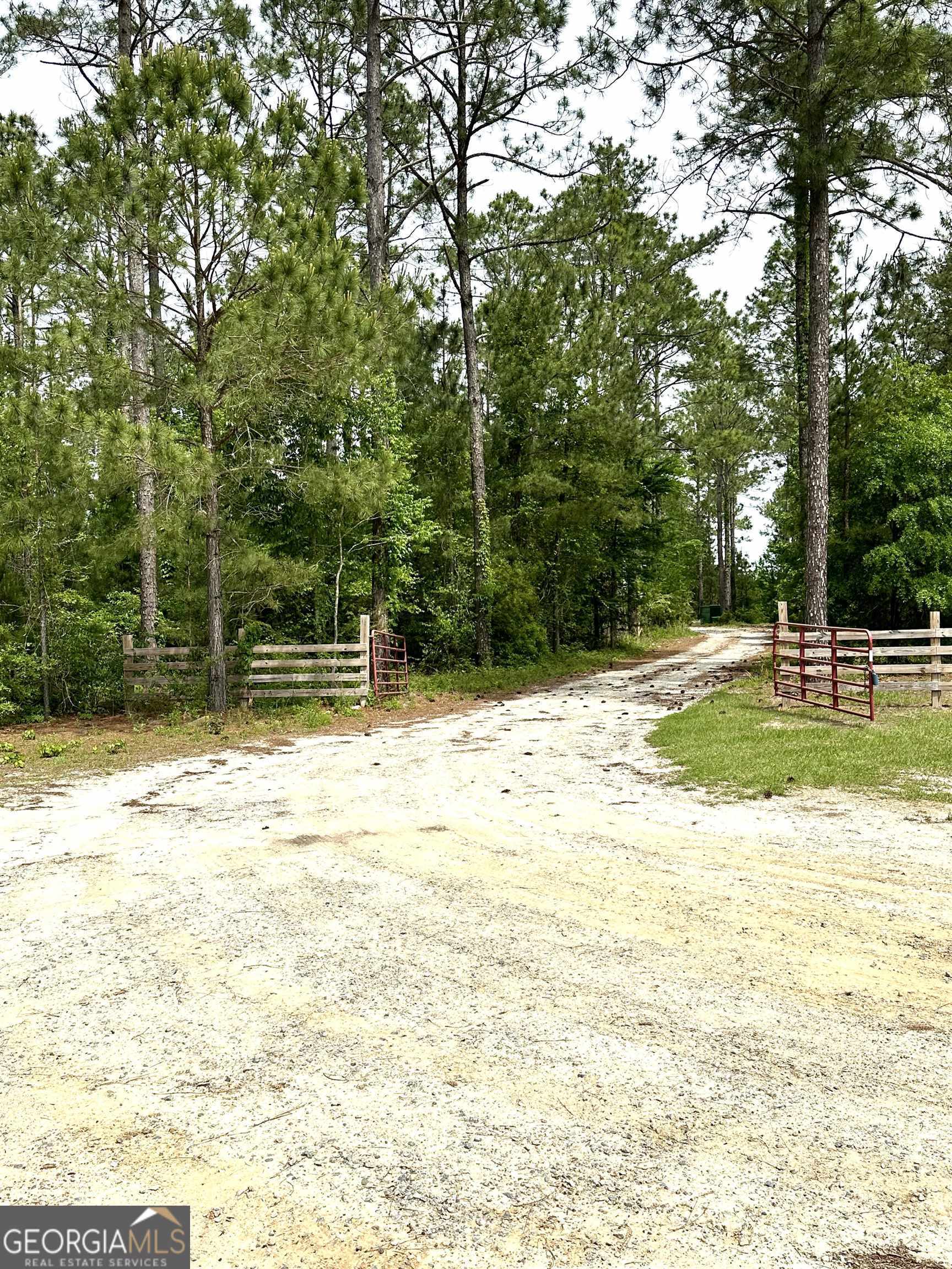 904 Tom Taylor Road Hawkinsville, GA 31036 - Photo 1 of 1 Gallery Image 1