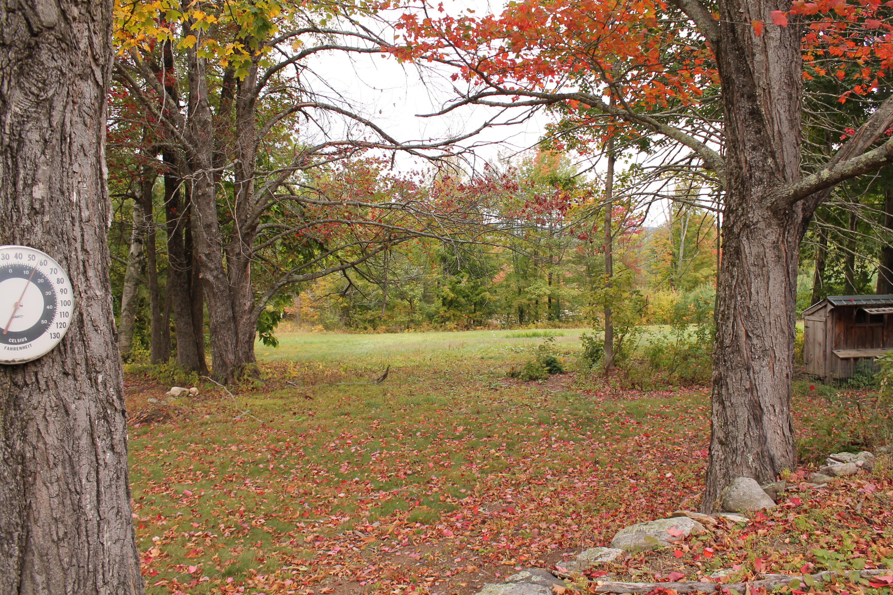 12 Libby Road West Newfield, ME 04095 - Photo 29 of 30 2019-10-06 11.03.41