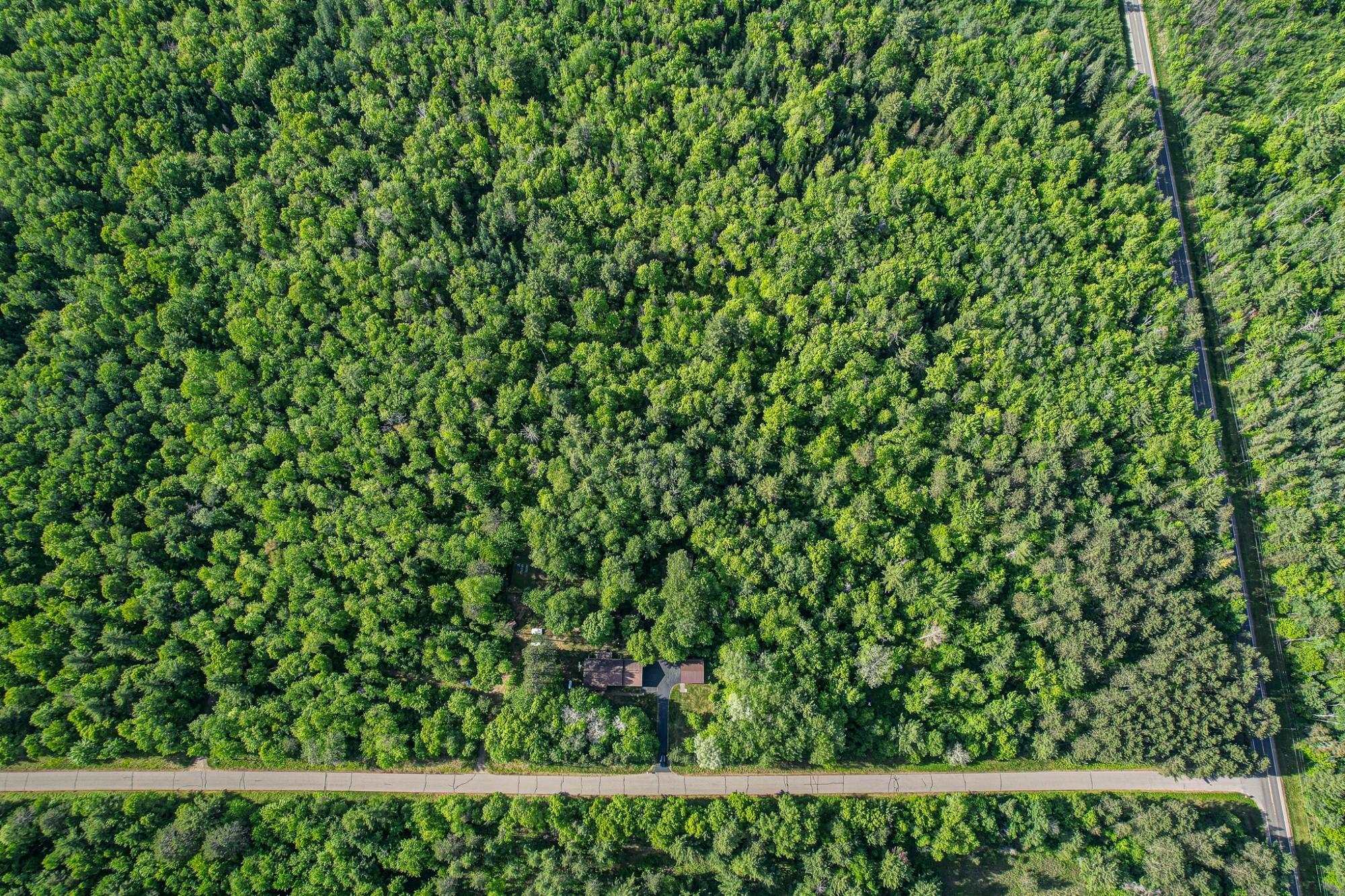 W6542 Milky Road Tomahawk, WI 54487 - Photo 56 of 60