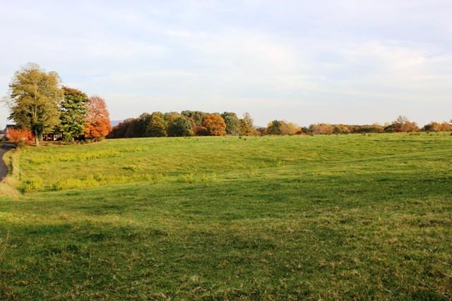 a view of an ocean and beach