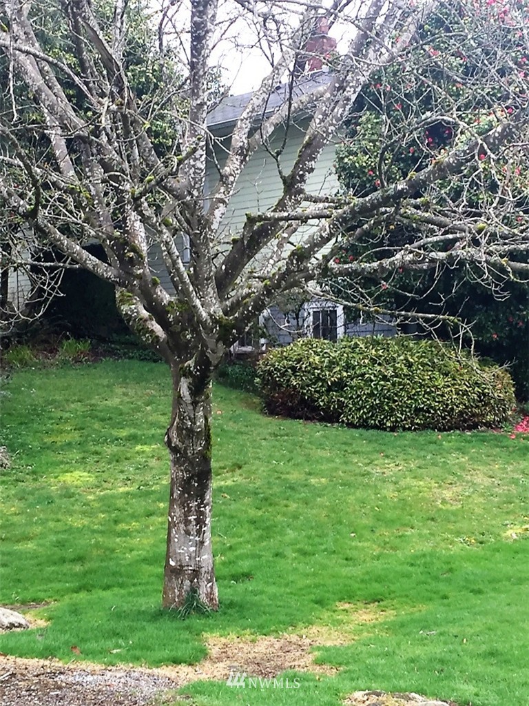 712 Southwest 3rd Place Renton, WA 98057 - Photo 11 of 11