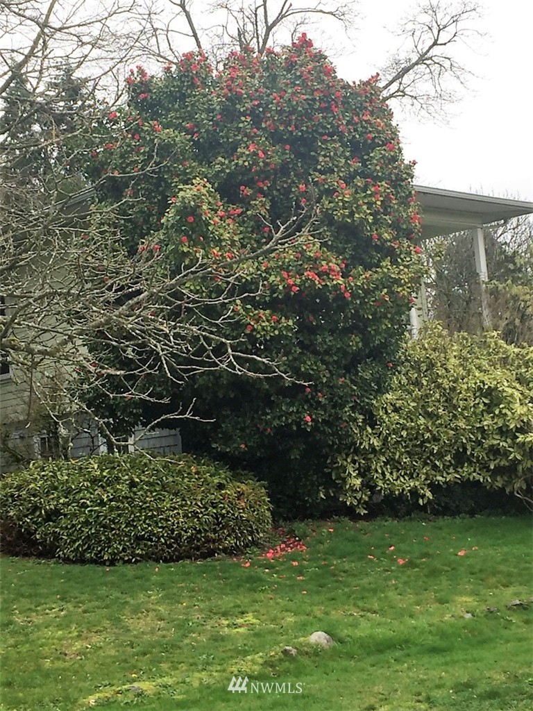 712 Southwest 3rd Place Renton, WA 98057 - Photo 10 of 11