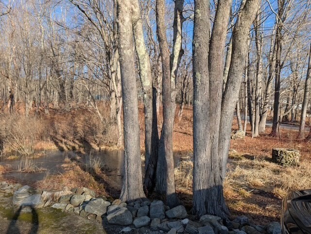 44 Munn Road Monson, MA 01057 - Photo 9 of 16 Gallery Image 9