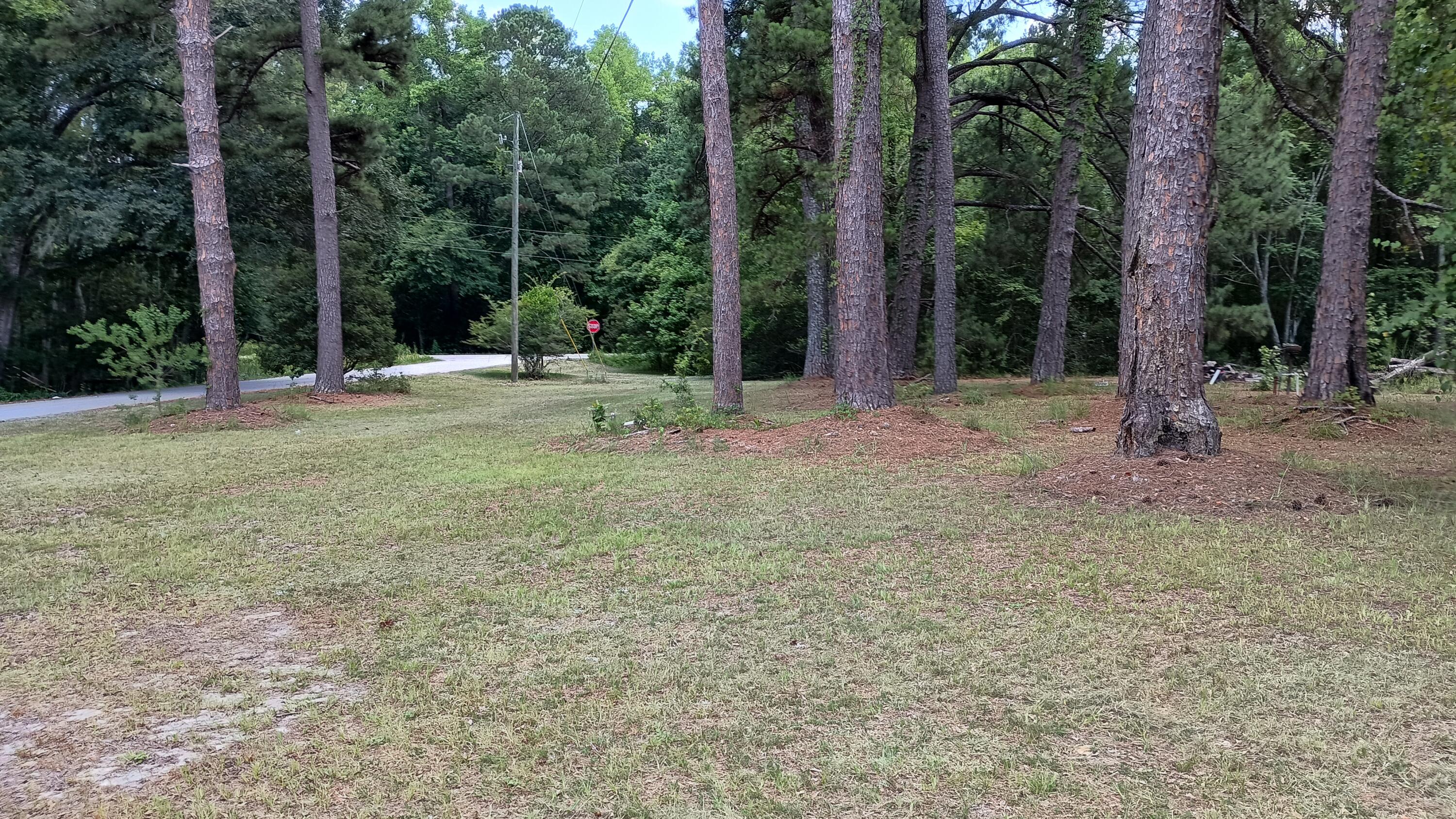 934 Bobwhite Trail Hampton, SC 29924 - Photo 20 of 27 Side Yard