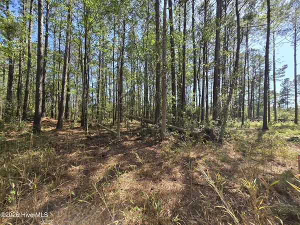 $85,000 | Lot B Renee Drive, Hampstead, NC 28443