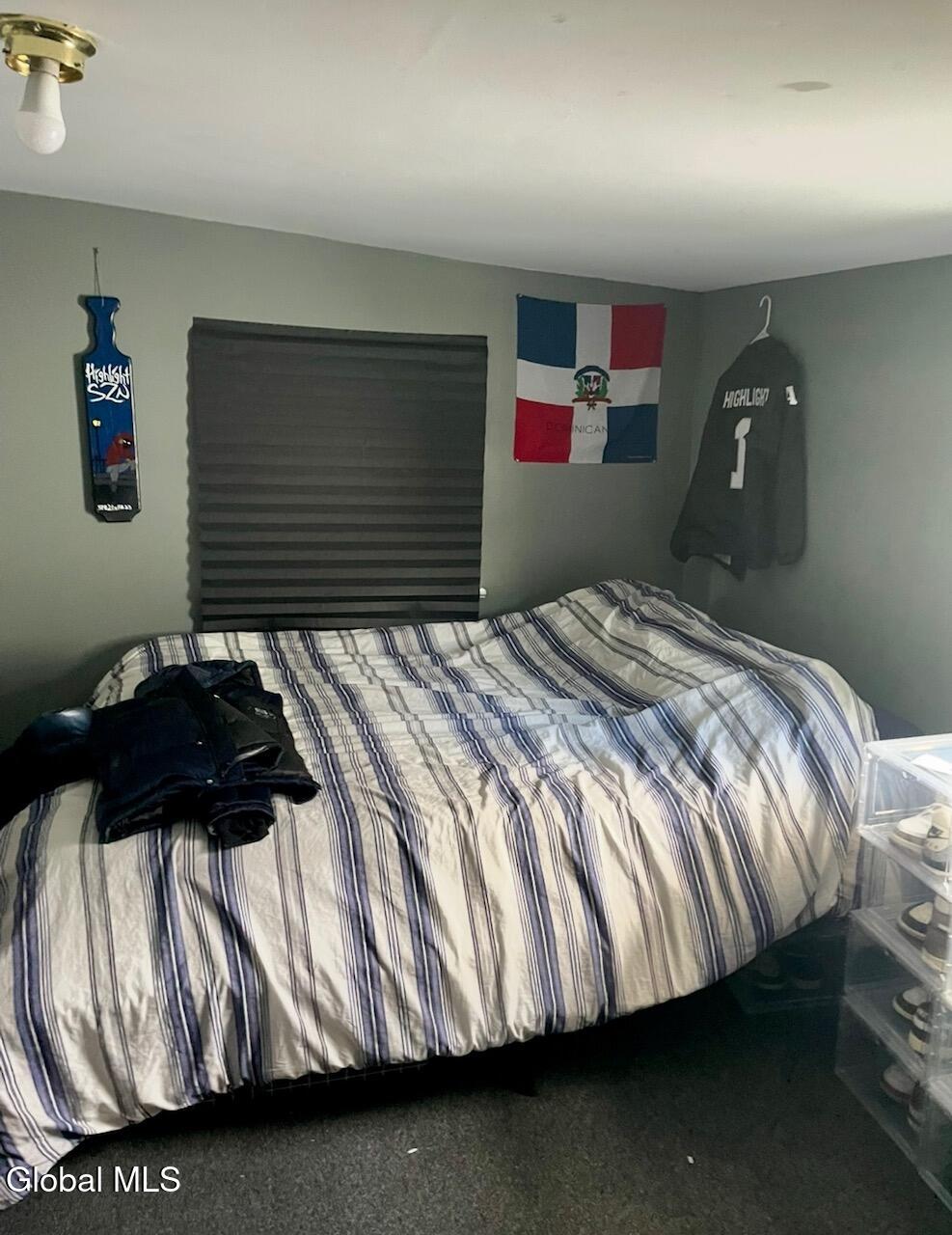 113 Harder Avenue Cobleskill, NY 12043 - Photo 19 of 21 19