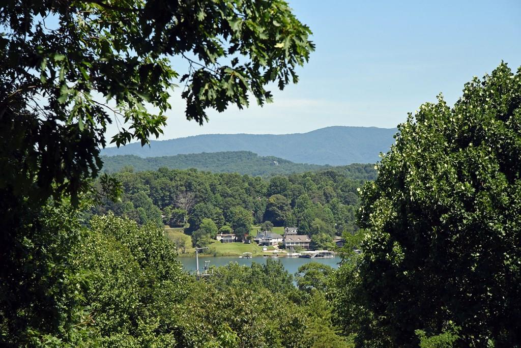 1303 Ramey Mountain Road Hiawassee, GA 30546 - Photo 49 of 49 Gallery Image 49