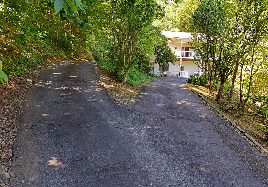 1303 Ramey Mountain Road Hiawassee, GA 30546 - Photo 6 of 49 Gallery Image 6