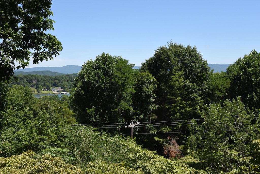 1303 Ramey Mountain Road Hiawassee, GA 30546 - Photo 10 of 49 Gallery Image 10